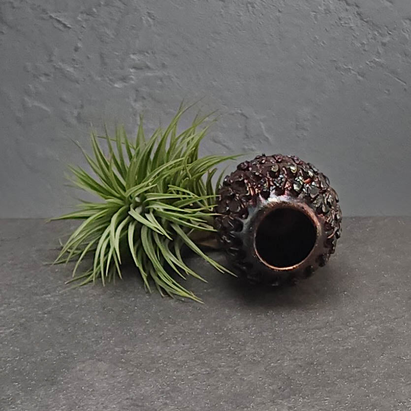 Air Plant Holder