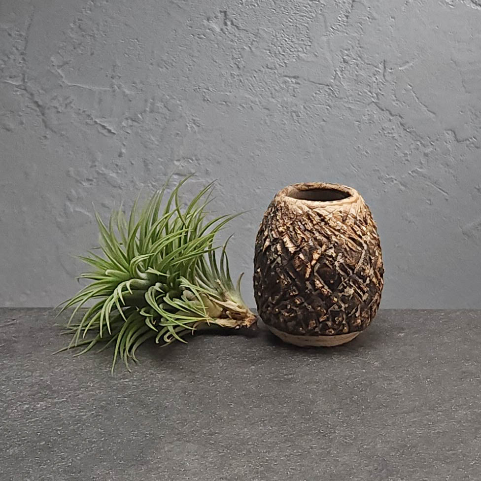 Air Plant Holder