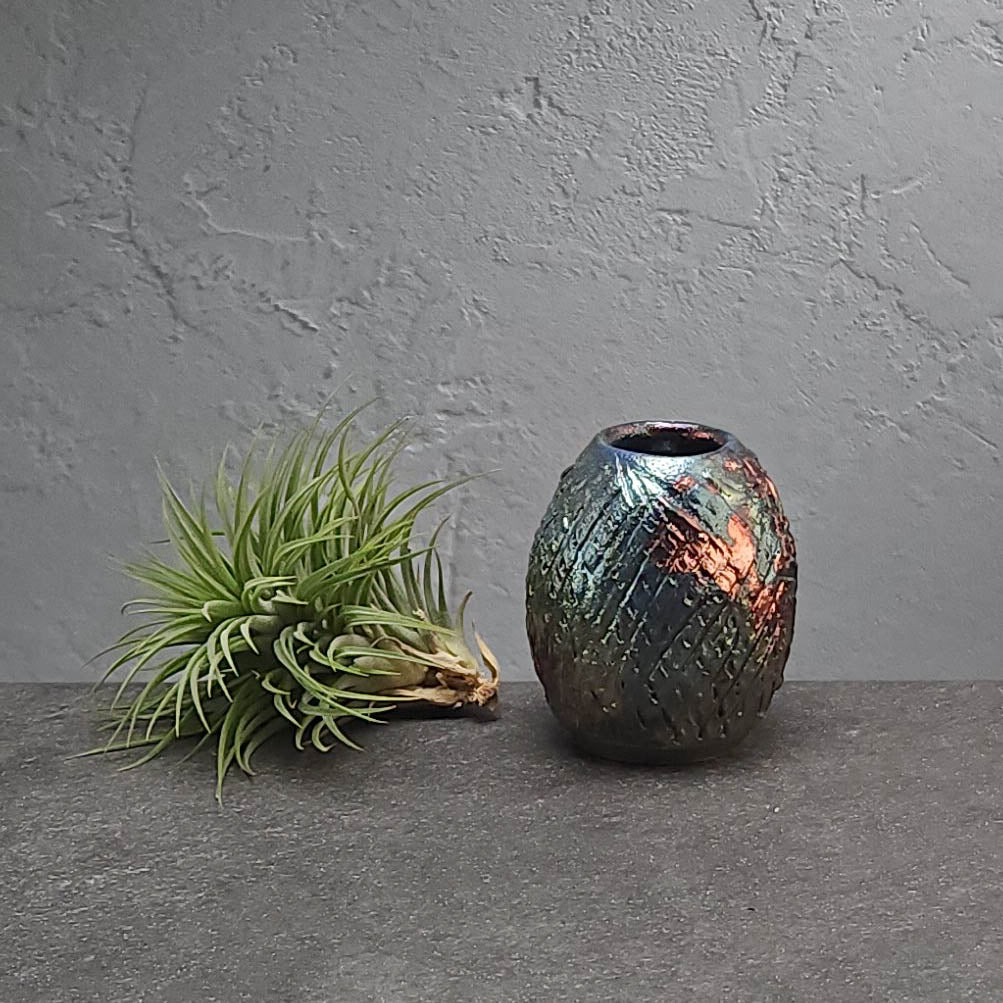 Air Plant Holder