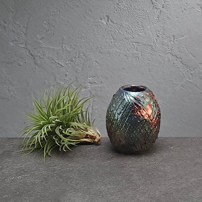 Air Plant Holder