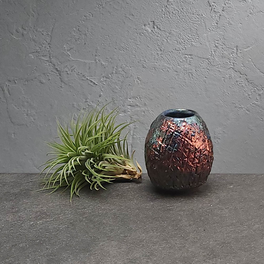Air Plant Holder