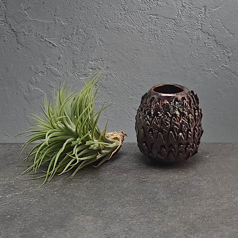 Air Plant Holder