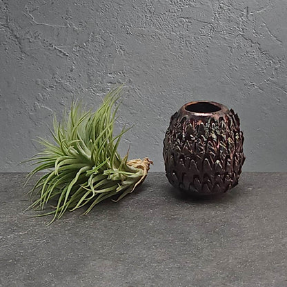 Air Plant Holder