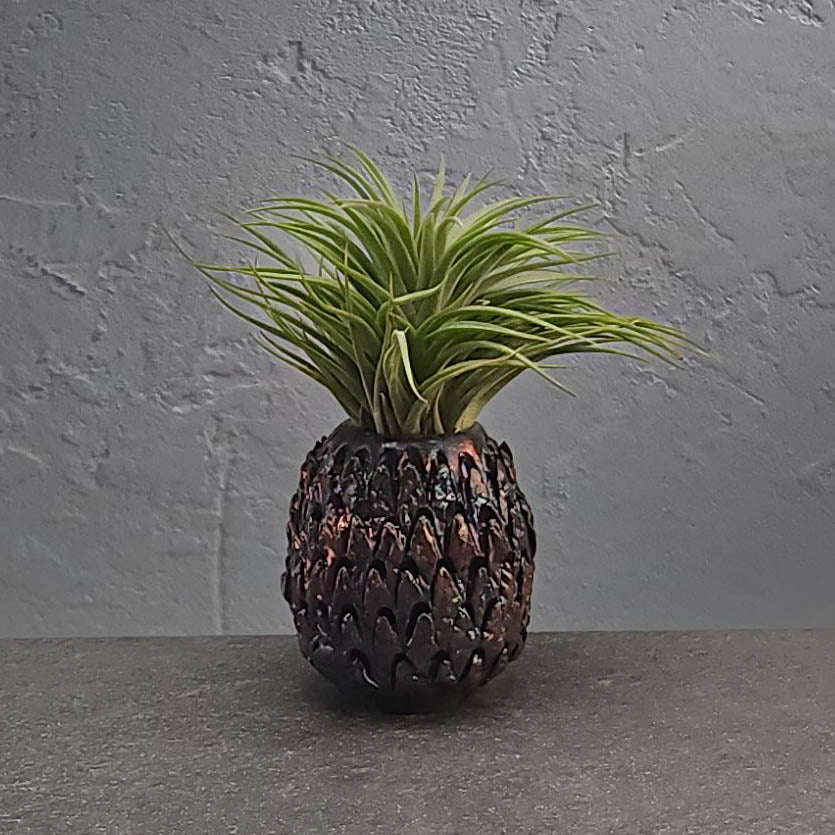 Air Plant Holder