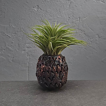 Air Plant Holder