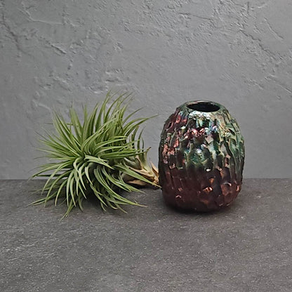 Air Plant Holder