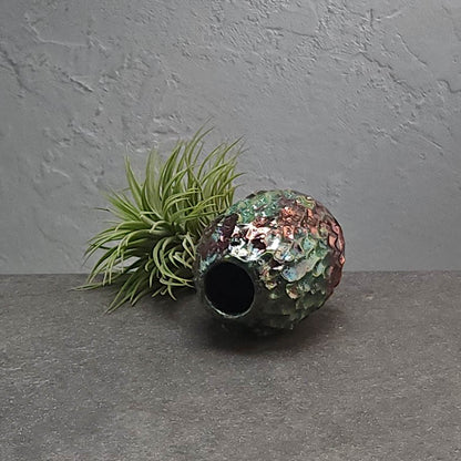 Air Plant Holder
