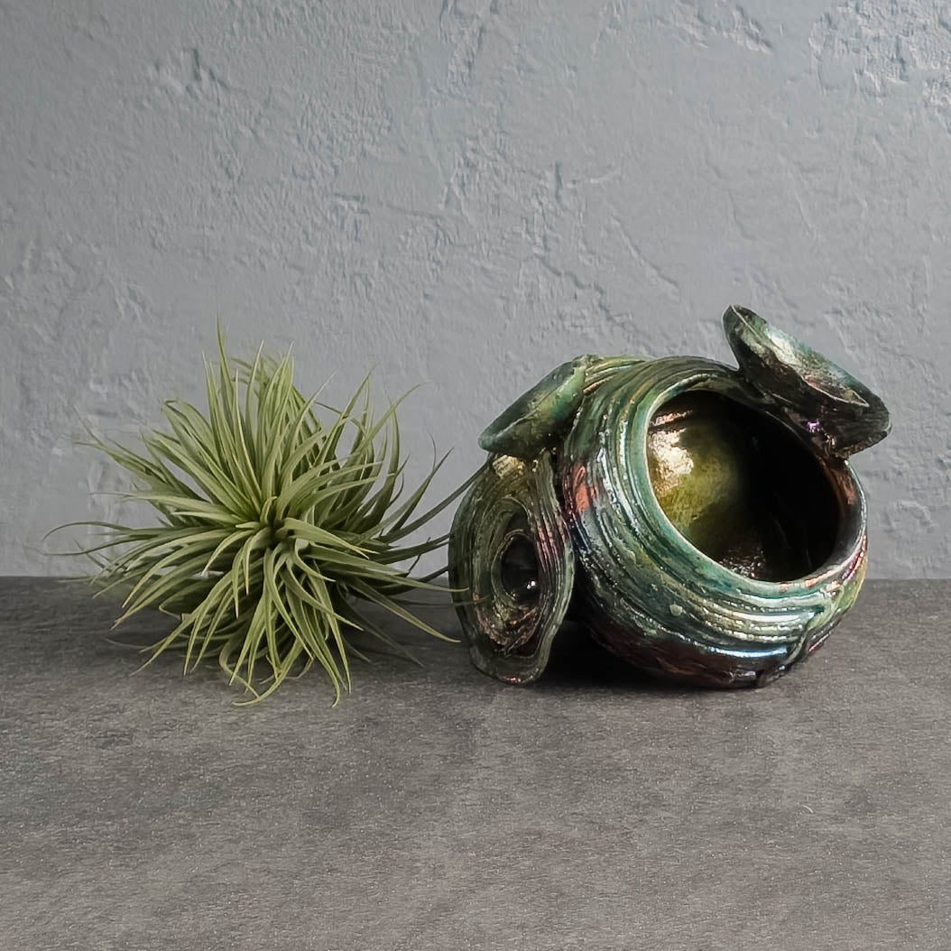 Air Plant Holder