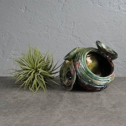 Air Plant Holder