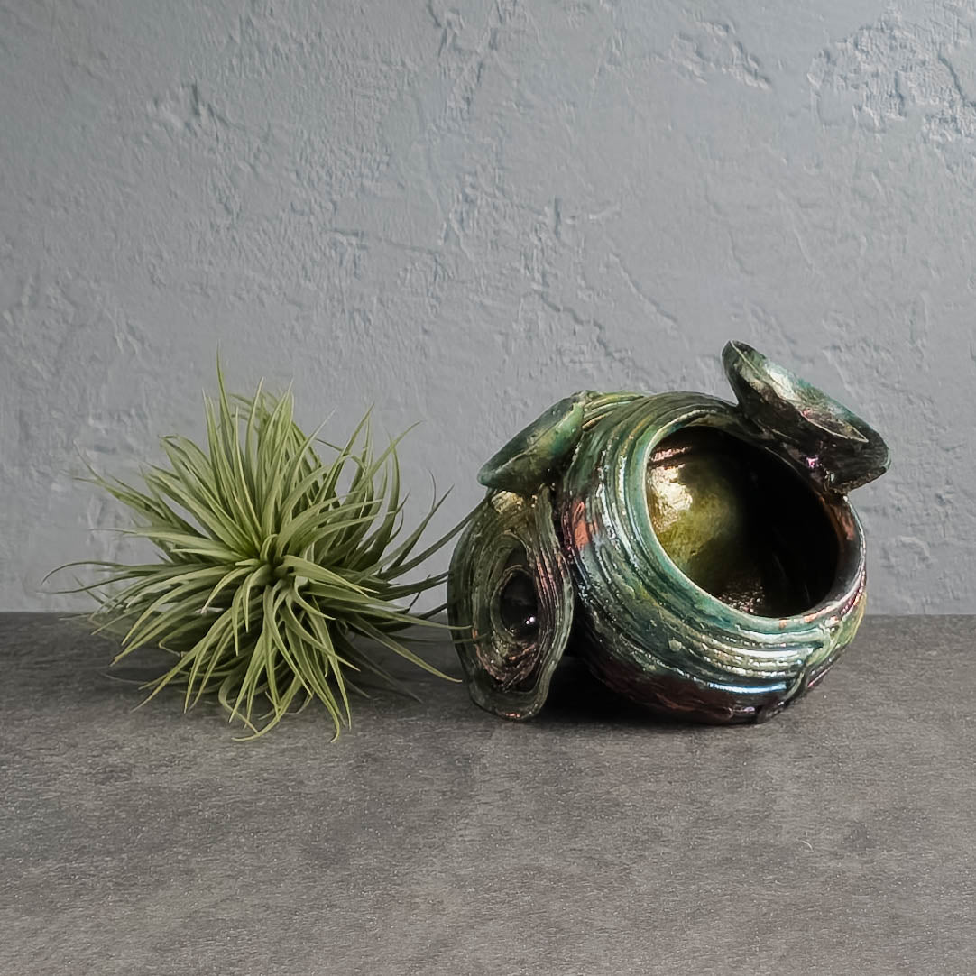 Air Plant Holder