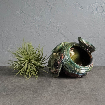 Air Plant Holder