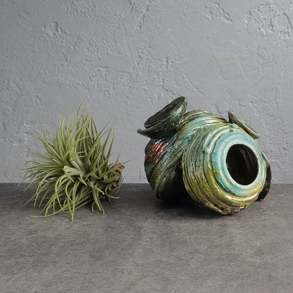 Air Plant Holder