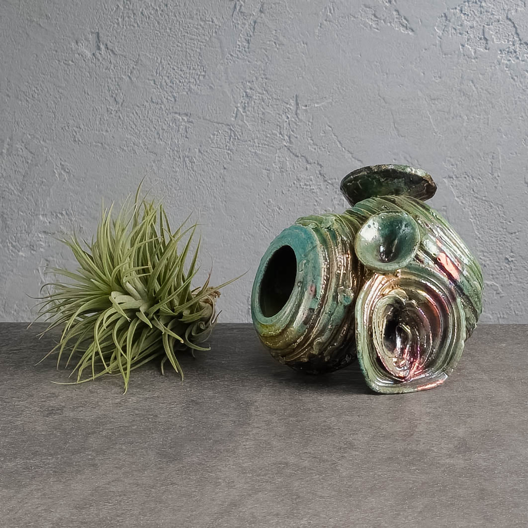 Air Plant Holder