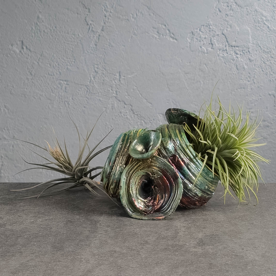 Air Plant Holder – Terracotta Republic