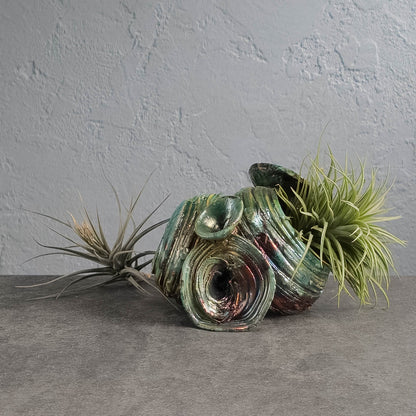 Air Plant Holder