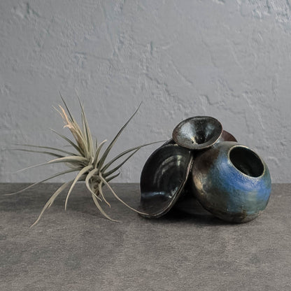 Air Plant Holder