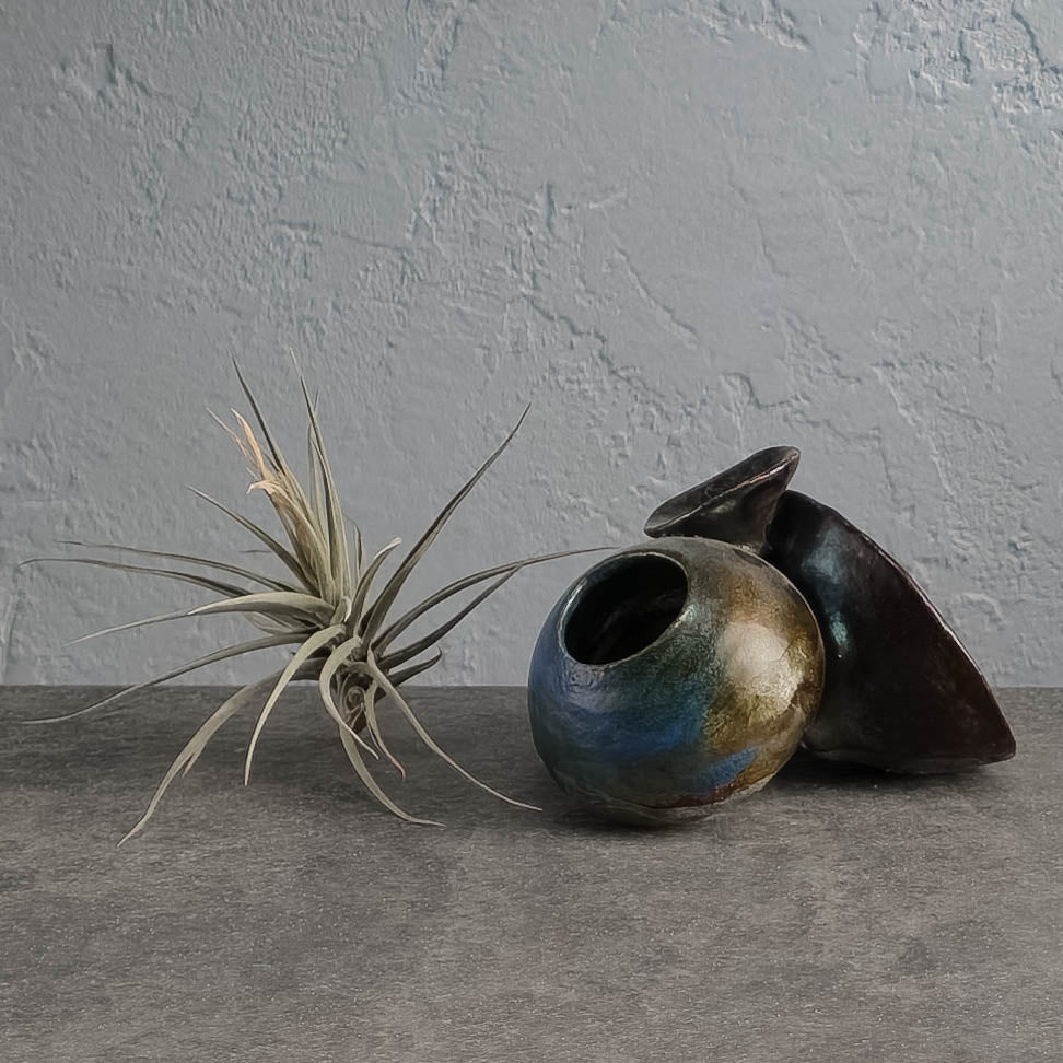 Air Plant Holder