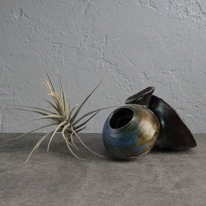 Air Plant Holder