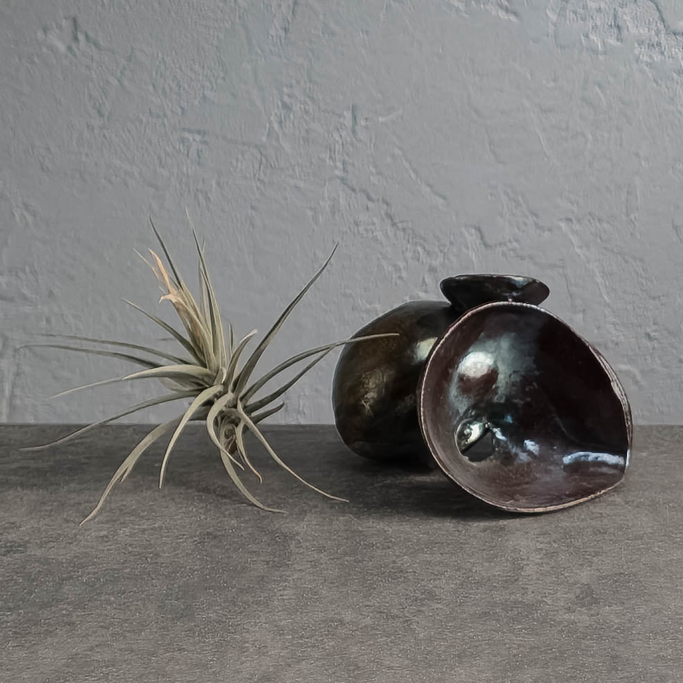 Air Plant Holder