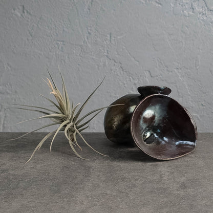 Air Plant Holder