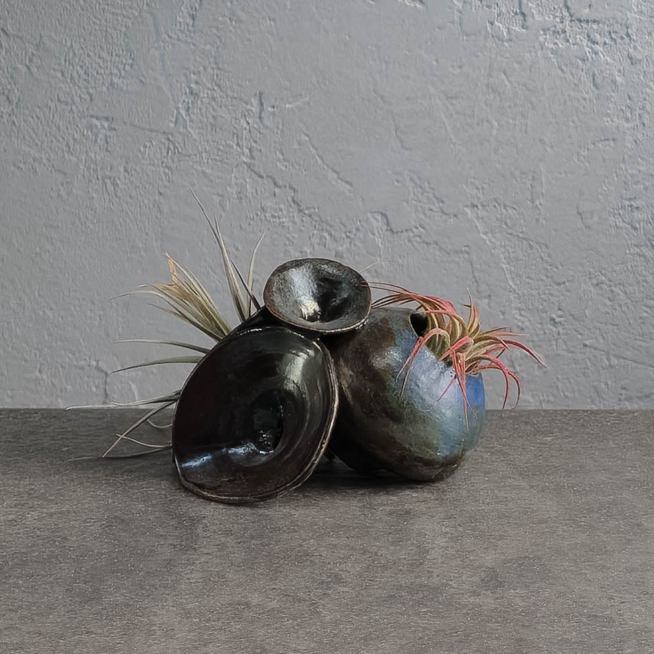 Air Plant Holder