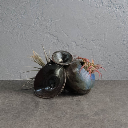Air Plant Holder