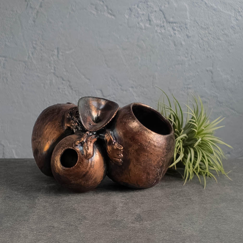 air plant pottery Air Plant Holder – Terracotta Republic