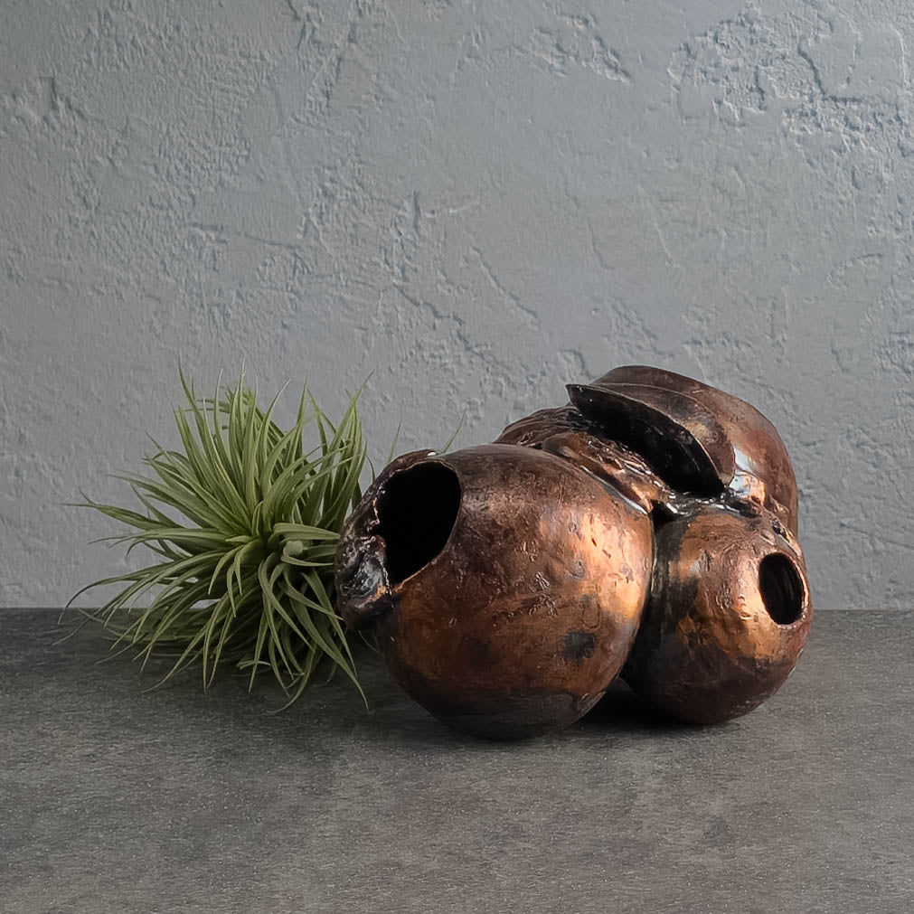 Air Plant Holder – Terracotta Republic
