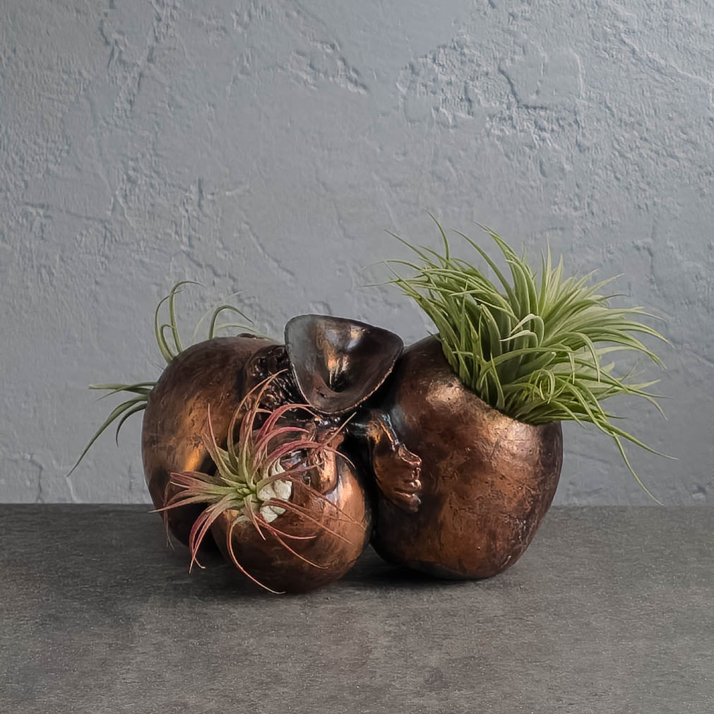 ひょうたんオブジェ Air Plant Holder – Terracotta Republic