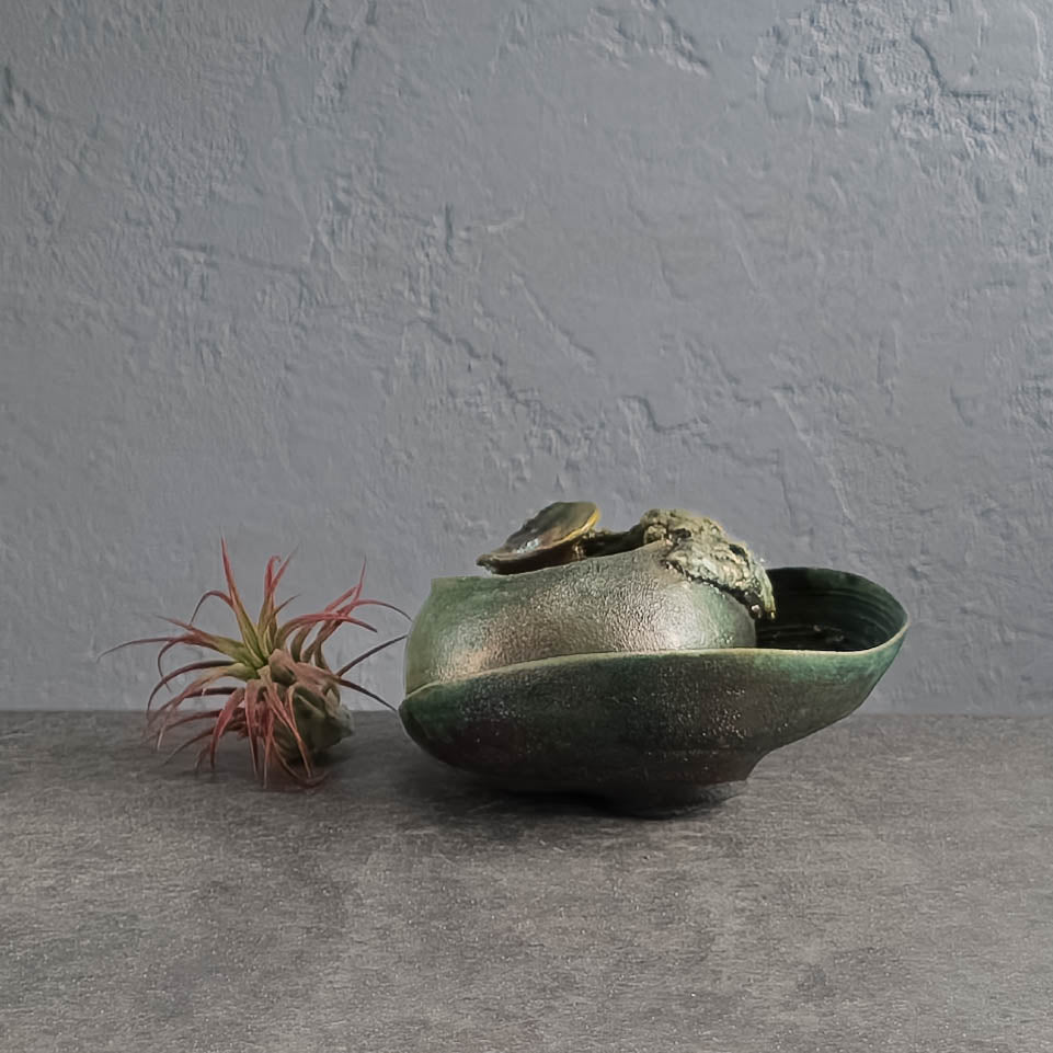 Air Plant Holder