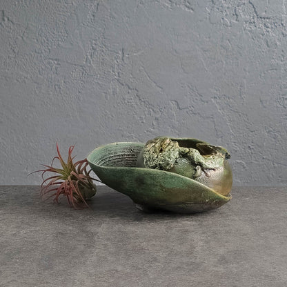 Air Plant Holder