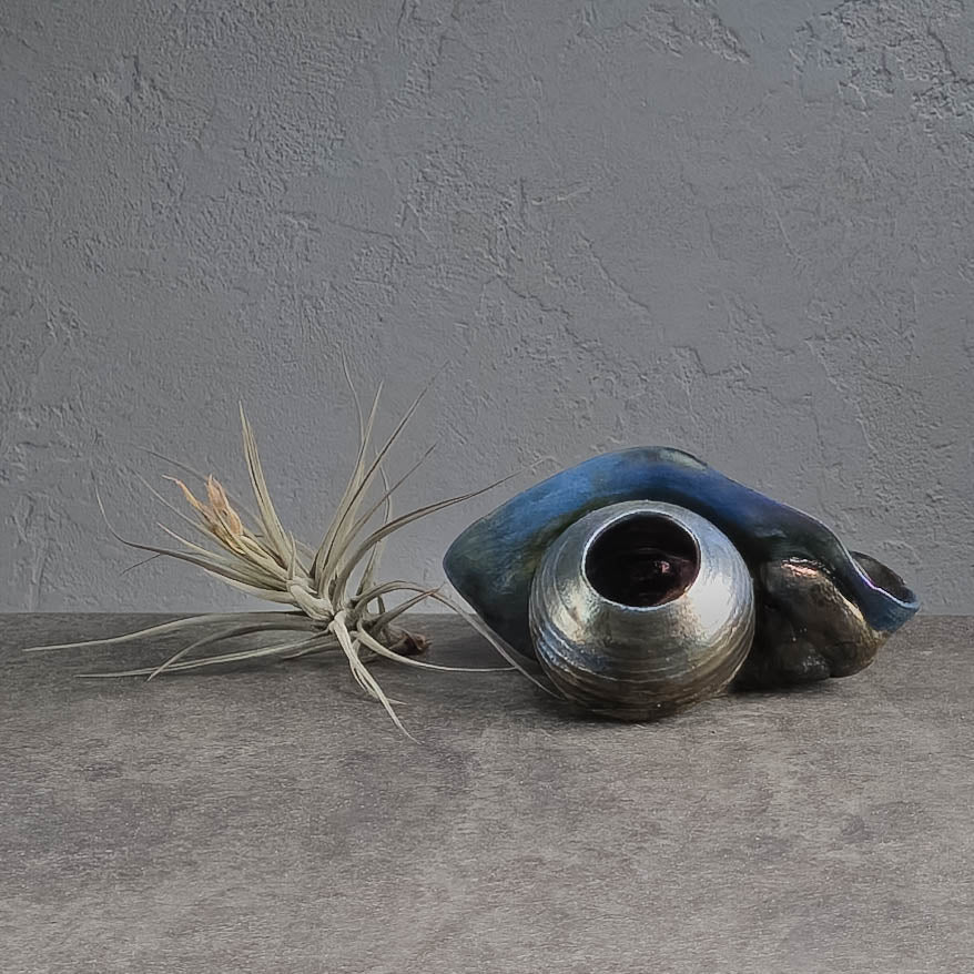 Air Plant Holder