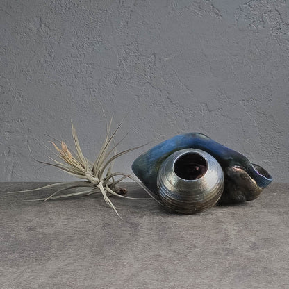 Air Plant Holder