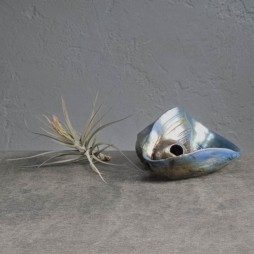 Air Plant Holder