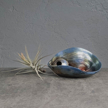 Air Plant Holder