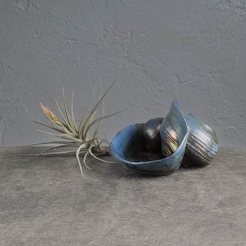Air Plant Holder